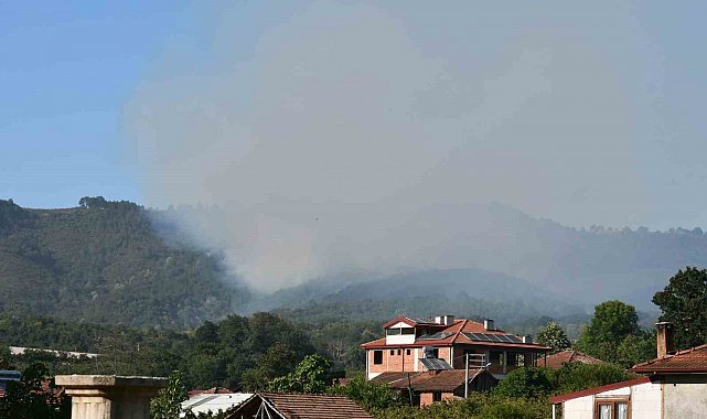 Sakarya Hendek'teki orman yangını kontrol altına alındı