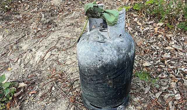 Sakarya Hendek'teki orman yangınının sebebi belli oldu