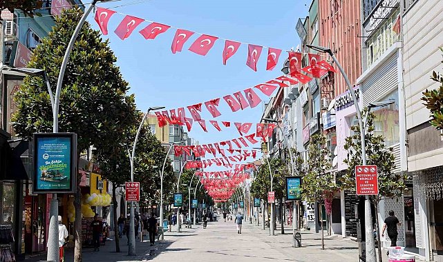 Sakarya'da cadde ve sokaklar ay-yıldızlı bayraklarla donatıldı