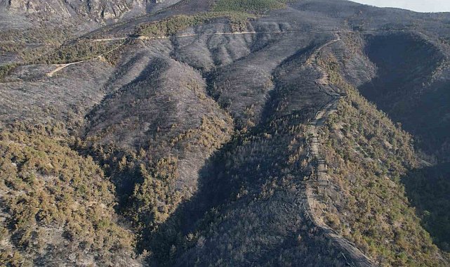 Sakarya'da dumanlar dağıldı, yangının hasarı ortaya çıktı