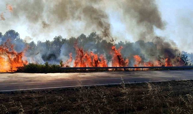 Sakarya'da otluk alanda korkutan yangın
