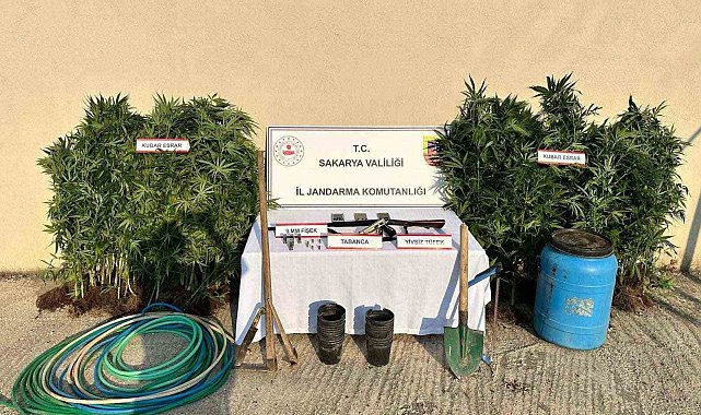 Sakarya'da uyuşturucu operasyonu: 1 tutuklama