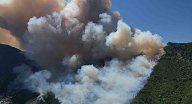 Sakarya'daki orman yangını havadan görüntülendi