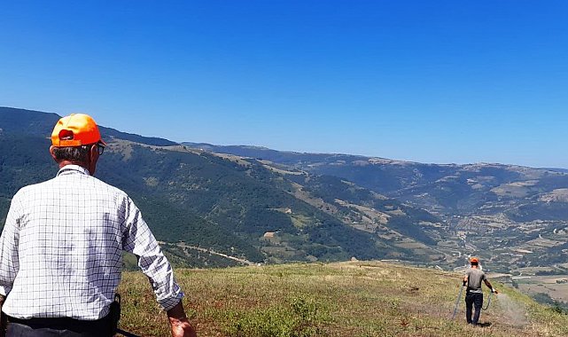 Samsun Canik'te çekirge istilasına karşı devlet destekli ilaçlama