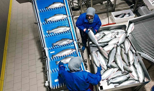 Samsun, su ürünleri ihracatında çıtayı yükseltiyor