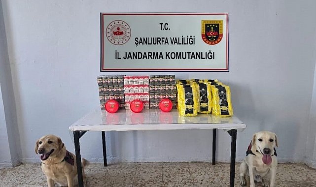 Şanlıurfa'da 3 bin paket kaçak sigara ele geçirildi