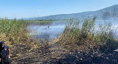 Sapanca Gölü'ndeki sazlık alanda yangın çıktı