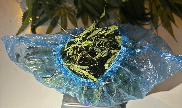 Sarıgöl'de jandarmadan uyuşturucu operasyonu: 1 gözaltı