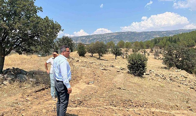 Sarıgöl'e sokak hayvanları için doğal yaşam alanı yapılacak