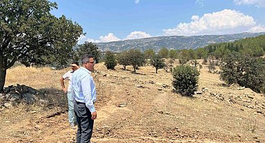 Sarıgöl'e sokak hayvanları için doğal yaşam alanı yapılacak