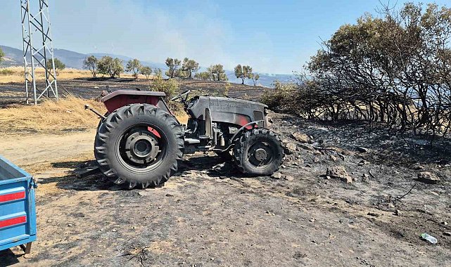 Şarköy'de orman yangınında araçlar küle döndü