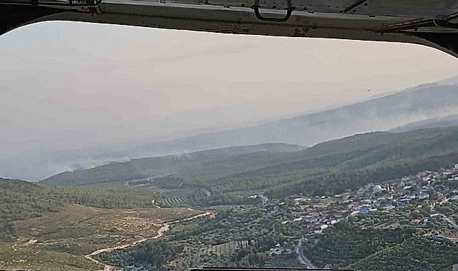 Saruhanlı'daki orman yangınında alevlerin ilerlemesi büyük ölçüde durduruldu