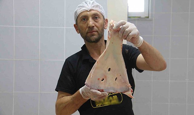 Selçuklu'dan kalan gelenek asırlardır sürdürülüyor, büyülerden korunmak için kürek kemikleri kırılıyor