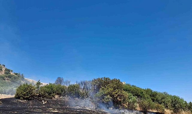 Selendi'de anız yangını korkuttu