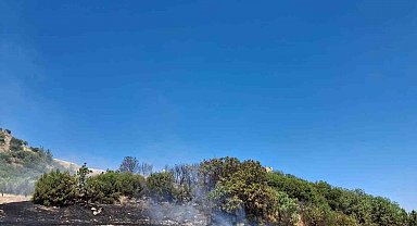 Selendi'de anız yangını korkuttu