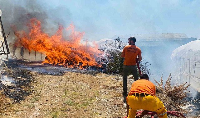 Serik'te çalılıklarda başlayan yangın 2 seraya zarar verdi