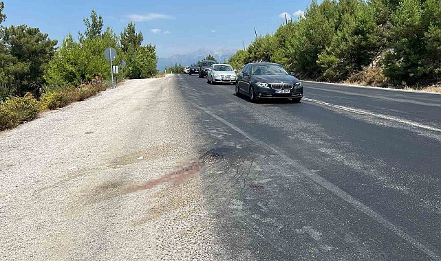 Seydikemer'de otobüsün çarptığı yaya hayatını kaybetti