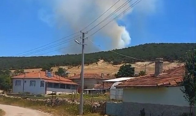 Seyitgazi'de orman yangını