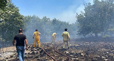 Seyitgazi'de orman yangınına ekiplerin müdahalesi başladı