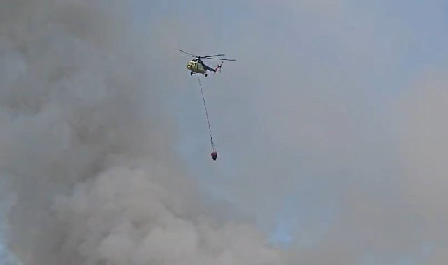 Seyitgazi'de yangına havadan müdahale