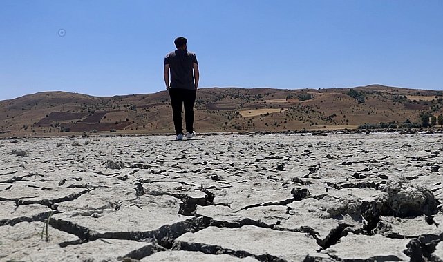 Sıcak havalar sonrası Bingöl Gölü kurudu, kuş sesleri yerini sessizliğe bıraktı