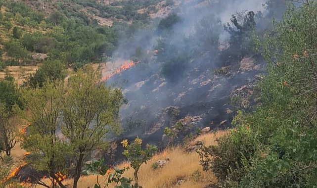 Siirt'te çıkan yangında 2 dönüm arazi zarar gördü