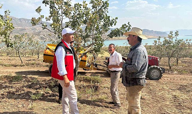 Siirt'te fıstık bahçelerinde aşırı sıcaklık alarmı