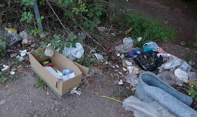 Şile ormanlarında çevre kirliliği alarmı: Poşet poşet atıklar doğaya bırakıldı