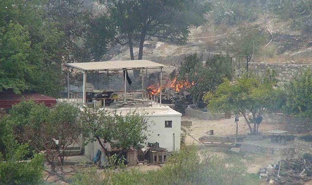 Silifke'deki orman yangınıyla mücadele devam ediyor: 526 personel sahada