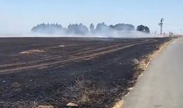 Silivri'de anız yangınında vatandaşlar seferber oldu: Traktörler ve çalılarla müdahale ettiler