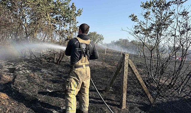 Silivri'de arazi yangını: 2 kişi yaralandı, itfaiye aracı yandı