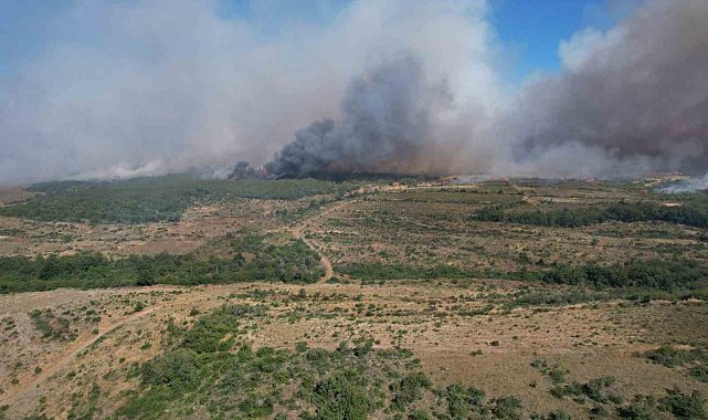 Silivri'de tarım alanlarındaki yangın ormana sıçradı