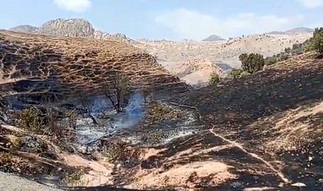 Silopi'de örtü yangını