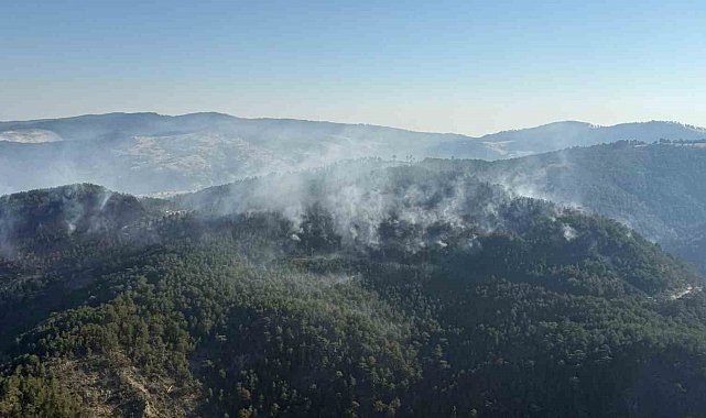 Sındırgı yangını kontrol altında