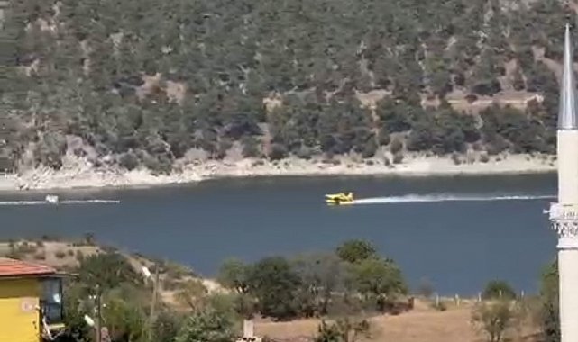 Sındırgı'da orman yangını