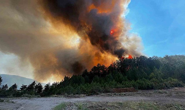 Sındırgı'daki orman yangınını söndürme çalışmaları sürüyor