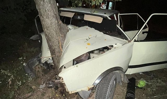 Sinop'ta virajı alamayan otomobil ağaca çarptı: 2 yaralı