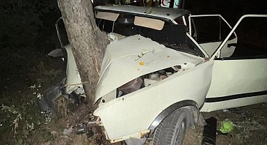 Sinop'ta virajı alamayan otomobil ağaca çarptı: 2 yaralı