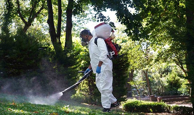 Şişli'de kene ve sineklere karşı etkin mücadele