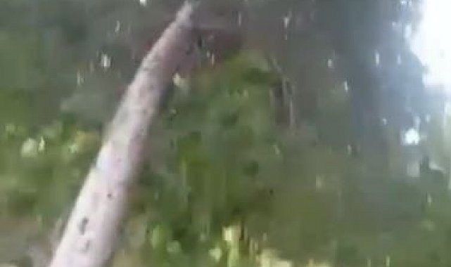 Siverek'te fırtına hayatı olumsuz etkiledi