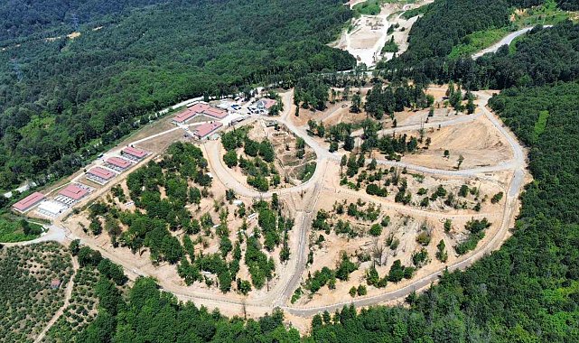 Sokak hayvanlarına tabiatla iç içe yaşam alanı