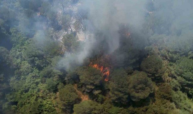 Sultangazi Kent Ormanı'nda yangın: İtfaiye ekipleri alevlere müdahale ediyor