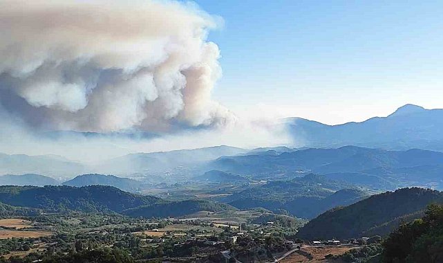 Suriye'de devam eden orman yangını Türkiye sınırına ulaştı