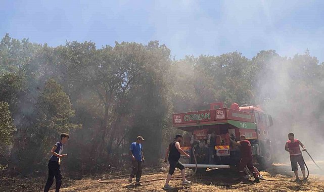 Susurluk'ta arazi yangını kontrol altına alındı