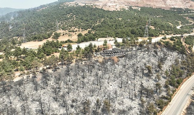 Tarihinin en büyük Gürsu yangınından yürek burkan bu manzaralar kaldı
