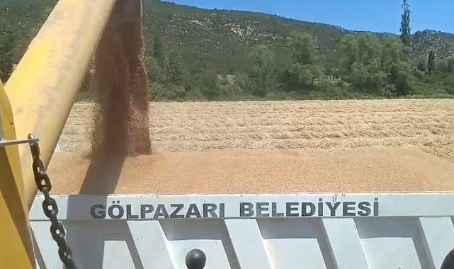 Tarım arazilerinde hasat sevinci