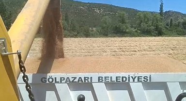 Tarım arazilerinde hasat sevinci