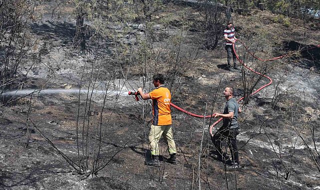 Tarlada çıkan yangın ormana sıçradı: 6 dekar alan zarar gördü