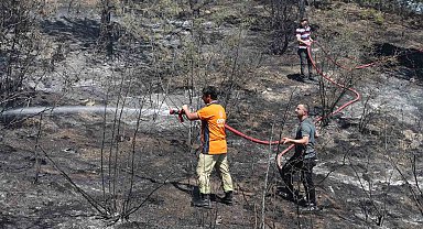 Tarlada çıkan yangın ormana sıçradı: 6 dekar alan zarar gördü