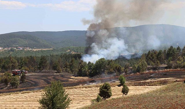 Tarlada çıkan yangın ormana sıçradı: Ekipler karadan ve havadan müdahale ediyor